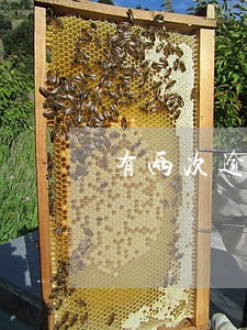 有两次逾期已还车贷 有两次逾期已还车贷