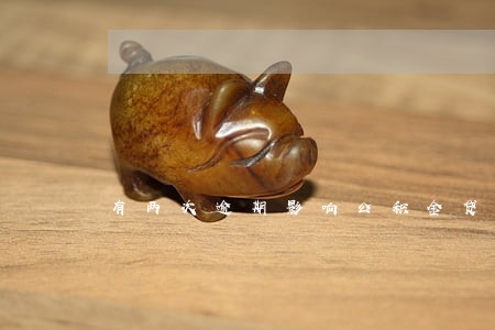 有两次逾期影响公积金贷款吗 有两次逾期影响公积金贷款吗