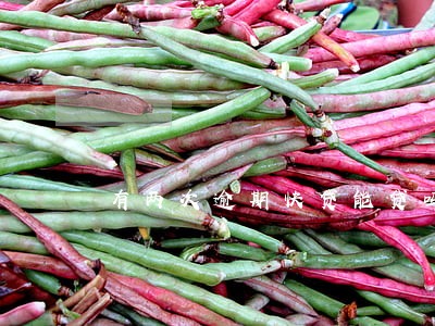 有两次逾期快贷能贷吗 有两次逾期快贷能贷吗