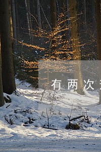 有两次逾期能不能贷款 有两次逾期能不能贷款