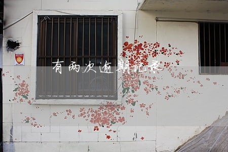 有两次逾期记录 有两次逾期记录