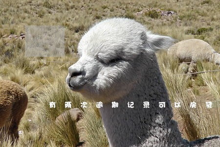 有两次逾期记录可以房贷吗 有两次逾期记录可以房贷吗