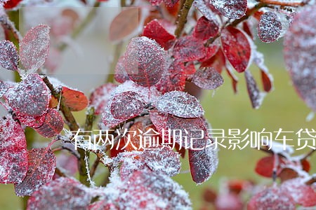有两次逾期记录影响车贷吗
