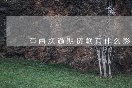 有两次逾期贷款有什么影响 有两次逾期贷款有什么影响