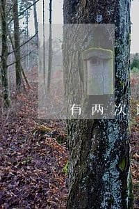 有两次逾期还款还能贷款么 有两次逾期还款还能贷款么