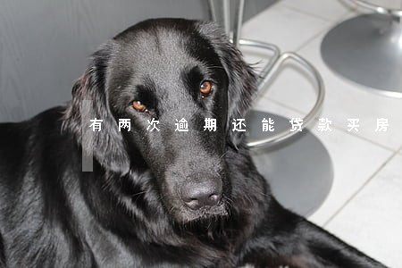 有两次逾期还能贷款买房吗