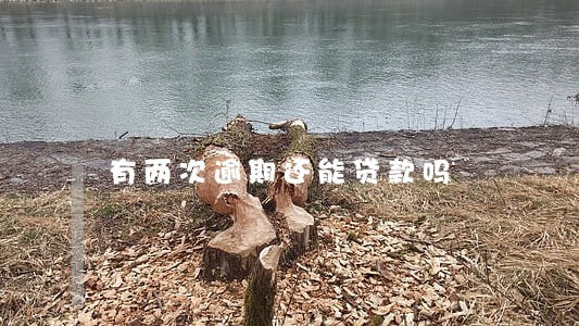 有两次逾期还能贷款吗 有两次逾期还能贷款吗
