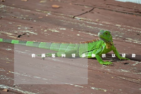 有两笔网贷逾期可以贷款吗 有两笔网贷逾期可以贷款吗