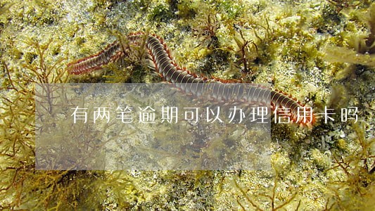 有两笔逾期可以办理信用卡吗