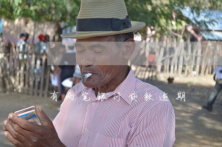 有两笔银行贷款逾期 有两笔银行贷款逾期