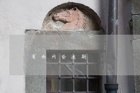 有两网贷逾期 有两网贷逾期