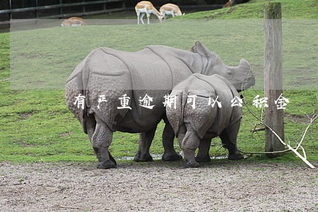 有严重逾期可以公积金 有严重逾期可以公积金