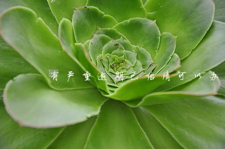 有严重逾期已结清可以办公务卡吗 有严重逾期已结清可以办公务卡吗