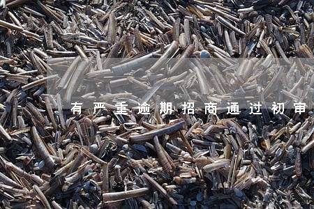 有严重逾期招商通过初审 有严重逾期招商通过初审