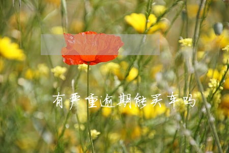 有严重逾期能买车吗