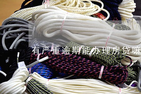 有严重逾期能办理房贷嘛 有严重逾期能办理房贷嘛
