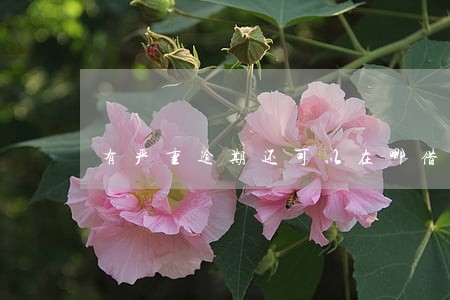 有严重逾期还可以在哪借款 有严重逾期还可以在哪借款