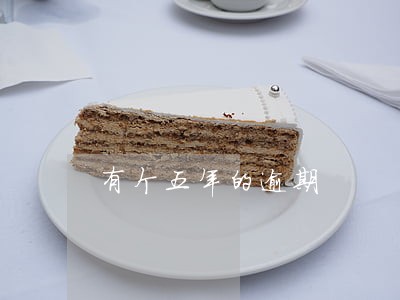 有个五年的逾期 有个五年的逾期
