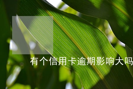有个信用卡逾期影响大吗 有个信用卡逾期影响大吗