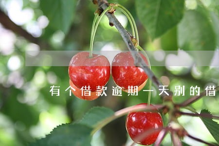 有个借款逾期一天别的借款能用吗 有个借款逾期一天别的借款能用吗