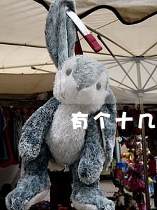 有个十几元逾期按揭审批 有个十几元逾期按揭审批