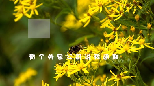 有个外包公司说我逾期