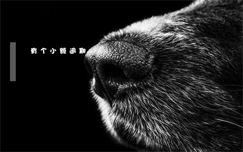 有个小额逾期 有个小额逾期