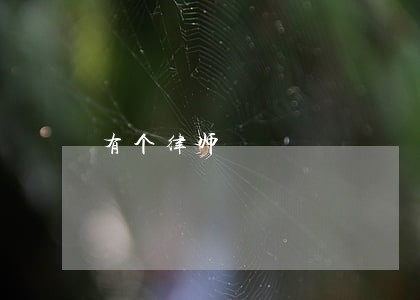 有个律师 有个律师