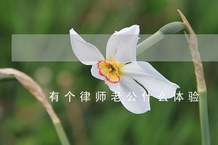 有个律师老公什么体验 有个律师老公什么体验