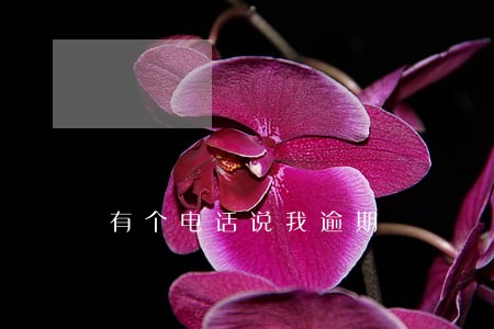 有个电话说我逾期 有个电话说我逾期
