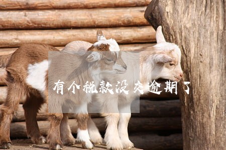 有个税款没交逾期了 有个税款没交逾期了