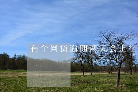 有个网贷逾期两天会上征信吗 有个网贷逾期两天会上征信吗