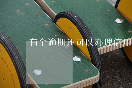 有个逾期还可以办理信用卡吗 有个逾期还可以办理信用卡吗