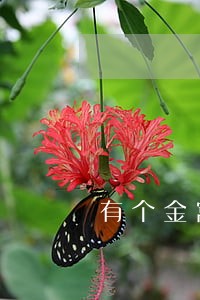 有个金窝逾期一天会怎么样 有个金窝逾期一天会怎么样
