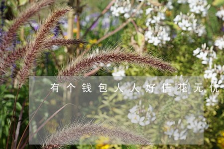 有个钱包人人好信花无忧逾期 有个钱包人人好信花无忧逾期