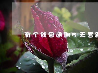 有个钱包逾期5天套路吗 有个钱包逾期5天套路吗