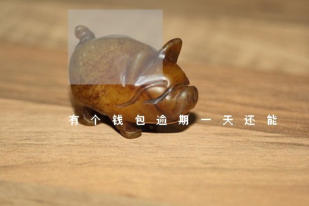 有个钱包逾期一天还能 有个钱包逾期一天还能