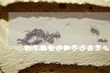 有个钱包逾期不还会怎么样 有个钱包逾期不还会怎么样