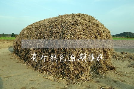 有个钱包逾期催收 有个钱包逾期催收