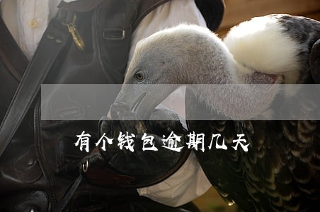 有个钱包逾期几天 有个钱包逾期几天