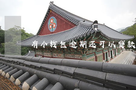有个钱包逾期还可以贷款吗 有个钱包逾期还可以贷款吗