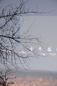 有个银行逾期好贷款吗