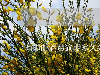 有中邮消费逾期多久会被取消分期 有中邮消费逾期多久会被取消分期