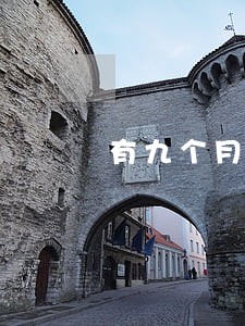 有九个月逾期还能借款嘛 有九个月逾期还能借款嘛