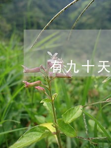 有九十天逾期能办信用卡不 有九十天逾期能办信用卡不