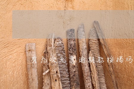 有九次无意逾期能按揭吗 有九次无意逾期能按揭吗