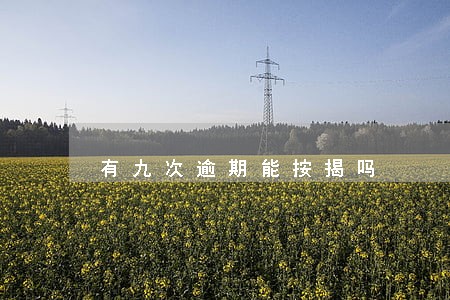 有九次逾期能按揭吗