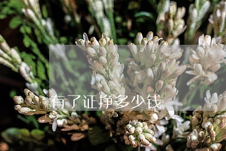 有了证挣多少钱