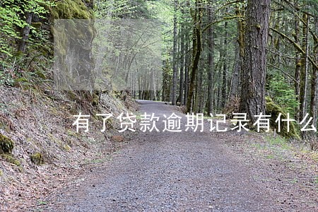 有了贷款逾期记录有什么影响 有了贷款逾期记录有什么影响