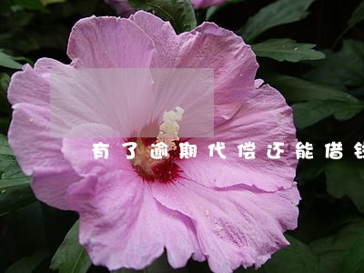 有了逾期代偿还能借钱吗 有了逾期代偿还能借钱吗